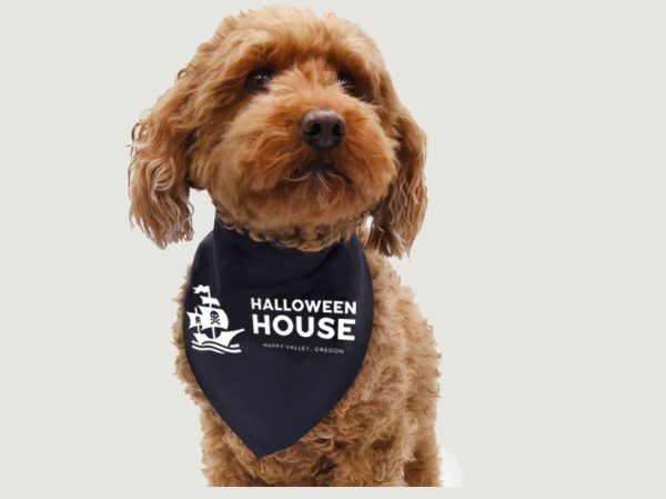 Pirates of Spanish Bay Pet Bandana - Image 7
